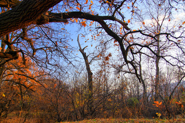 Similar image 680820