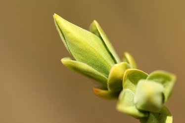 Similar image 680857