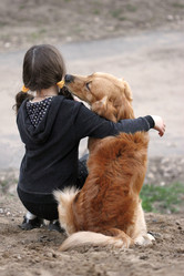 Similar image 680858