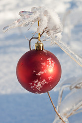 Similar image 680955