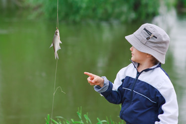 Similar image 681029