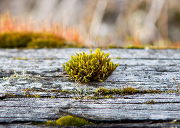 Similar image 681057