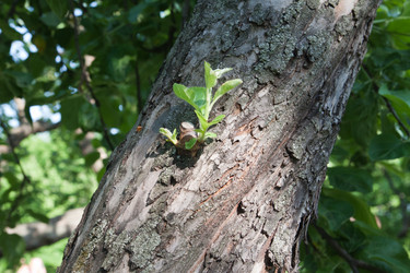 Similar image 681080