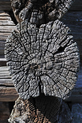 Similar image 681201