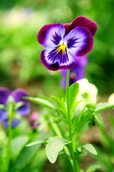 Similar image 681304