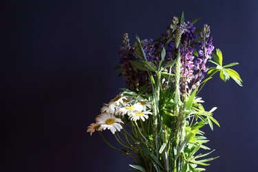 Similar image 681310