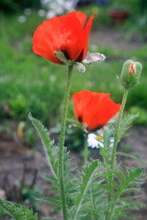 Similar image 681401