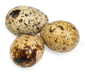 Similar image 681421