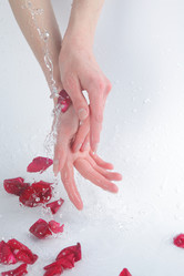 Similar image 681500