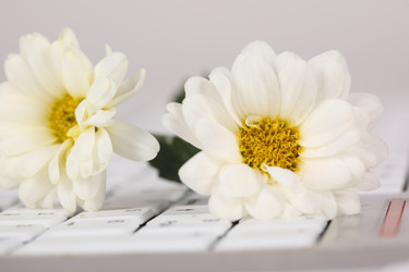 Similar image 681539