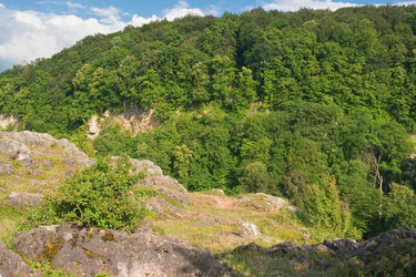 Similar image 681556