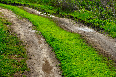 Similar image 681558