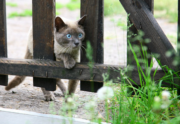 Similar image 681562