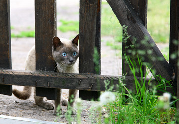 Similar image 681563