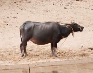 Similar image 681600