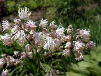 Similar image 681612