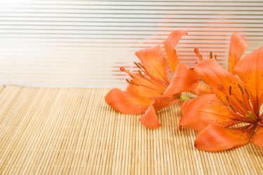 Similar image 681627