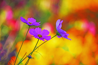 Similar image 681629