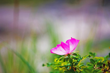 Similar image 681630