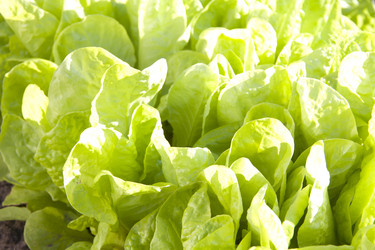 Similar image 681666