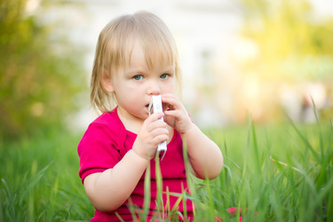 Similar image 681686