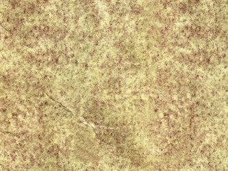 Similar image 681719