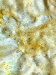 Similar image 681729