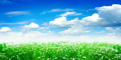 Similar image 681772