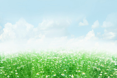 Similar image 681773