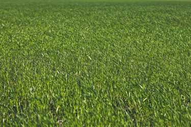 Similar image 681814