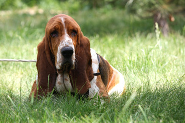 Similar image 681816