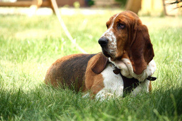 Similar image 681817