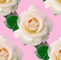 Similar image 681899