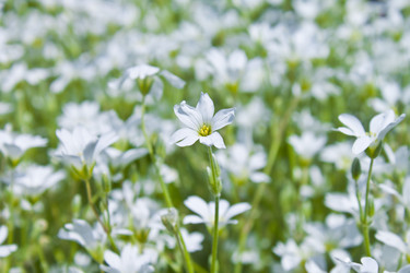 Similar image 681913