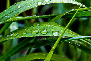 Similar image 681918