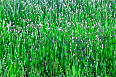 Similar image 681921