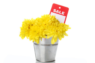 Similar image 681971