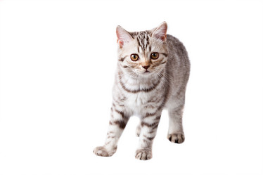 Similar image 681981