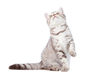 Similar image 681984