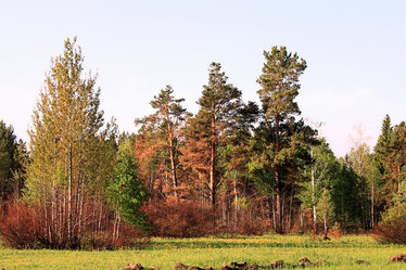 Similar image 682092