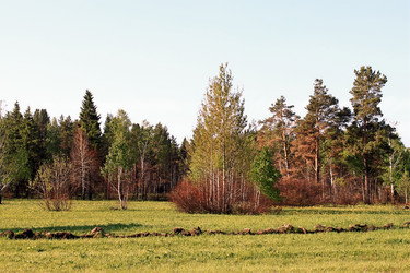 Similar image 682094