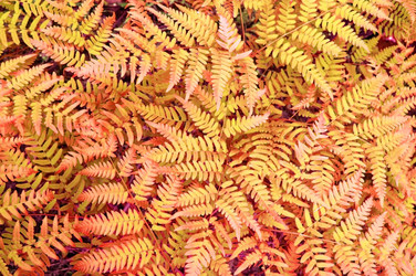 Similar image 682095