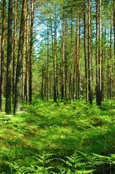 Similar image 682100