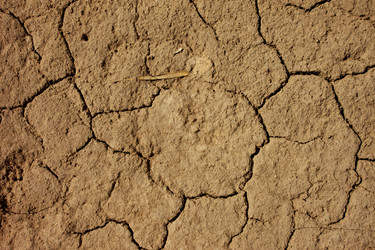 Similar image 682105