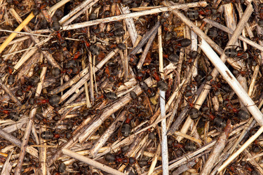 Similar image 682109