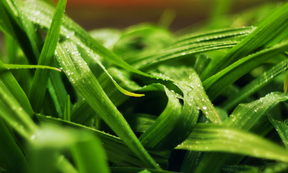 Similar image 682129