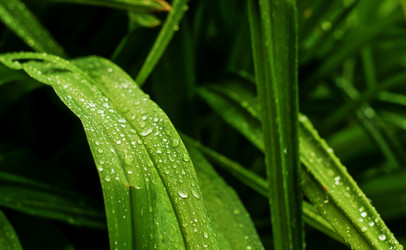 Similar image 682130