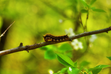 Similar image 682133