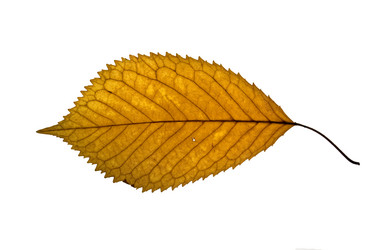 Similar image 682181