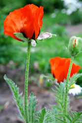 Similar image 682230